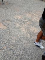 GrillAndChill2013_004